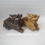 HM165-Ty-huu-mat-meo-2