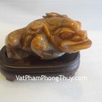 TT-HL-6581-Thiem-thu