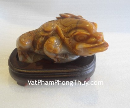 TT-HL-6581-Thiem-thu