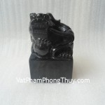 m055-an-ty-huu-hac-nga