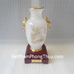 H473G-Binh-bach-ngoc-2