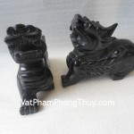 HM010-Ty-huu-hac-nga