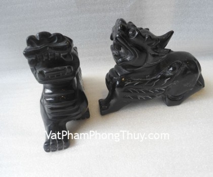 HM010-Ty-huu-hac-nga