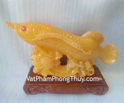 H282G-Ca-kim-long-vang