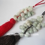 S6138-Ngoc-boi-chum-ho-lo-lon