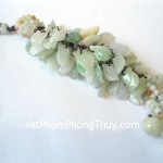 S6141-Ngoc-boi-chum-ve-2