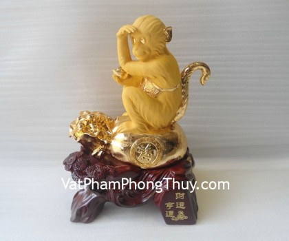 k036m-khi-tren-tui-vang-2