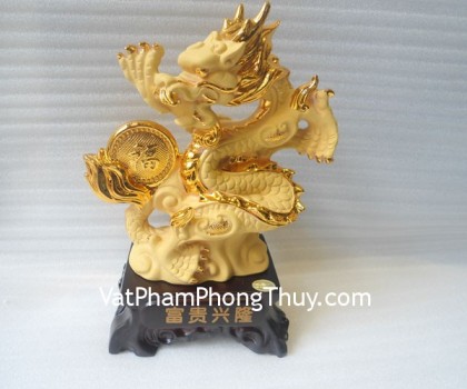 k154m-rong-vang-sa-kim