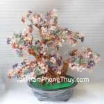 kc002-cay-tai-loc-nhieu-mau-lon-2