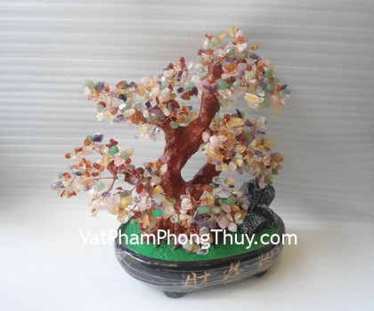 kc003-cay-tai-loc-nhieu-mau