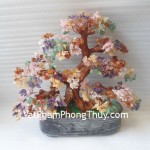 kc004-cay-tai-loc-nhieu-mau-2