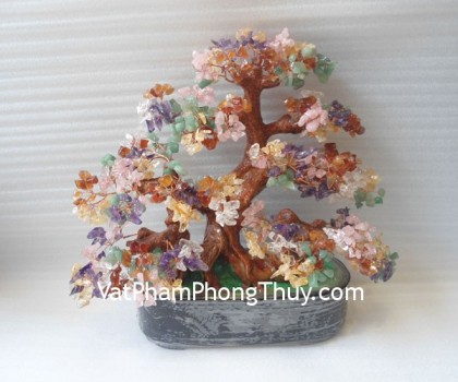 kc004-cay-tai-loc-nhieu-mau-2