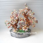 kc005-cay-tai-loc-2-than-2