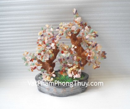 kc005-cay-tai-loc-2-than-2