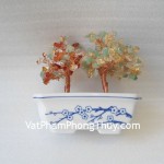 kc008-cay-tai-loc-chau-su-mini-2