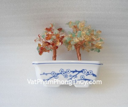 kc008-cay-tai-loc-chau-su-mini-2