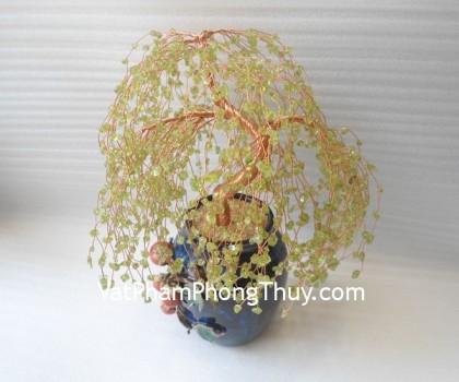 kc012-cay-cam-lam-sakura