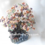 KC001-cay-tai-loc-ngu-hanh-2