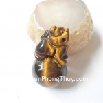 s6204-ty-huu-mat-meo-tren-cau-1