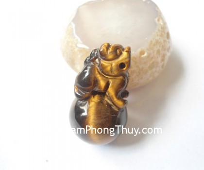 s6204-ty-huu-mat-meo-tren-cau-1