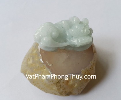 s6284-ty-huu-phi-thuy-1