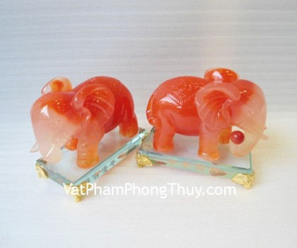 h362g-voi-cam-cat-tuong-binh-an-nhu-y-1