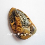 s1135-3-phat-mat-meo-hu-khong-tang-dan-2