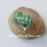 s6035-ty-huu-phi-thuy-xanh