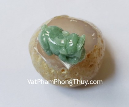 s6035-ty-huu-phi-thuy-xanh