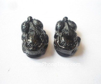 s6065-ty-huu-hac-nga-vay-rong