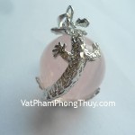 s6207-rong-om-chau-hong-1