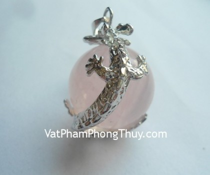 s6207-rong-om-chau-hong-1