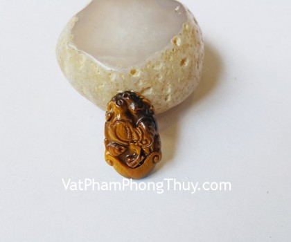 s6285-10-12-giap-mat-meo-lon-DAU-01