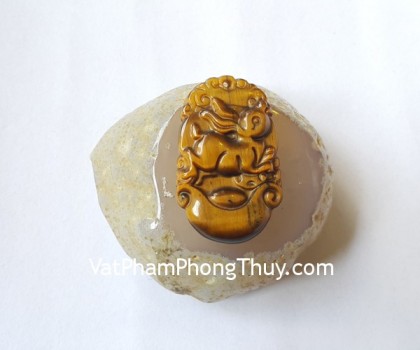 s6285-4-12-giap-mat-meo-lon-mao-1