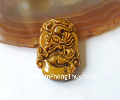 s6285-5-12-giap-mat-meo-lon-thin