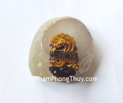 s6285-6-12-giap-mat-meo-lon-ran-2