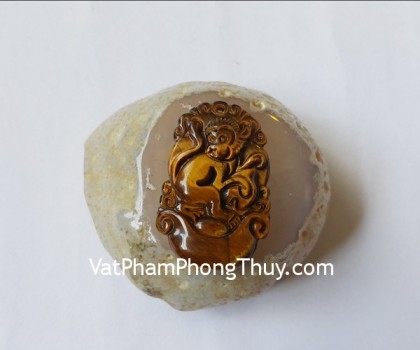 s6285-9-12-giap-mat-meo-lon-than-2