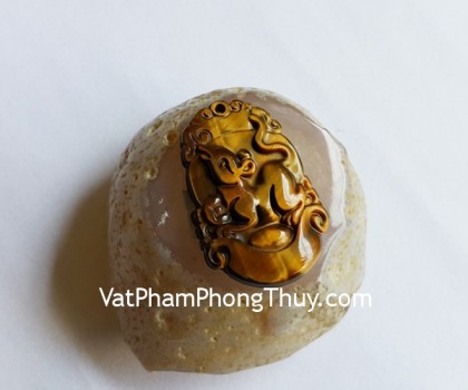 s6286-1-12-giap-mat-meo-nho-ty