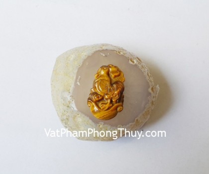 s6286-10-12-giap-mat-meo-nho-2-dau