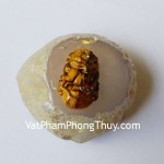 s6286-4-12-giap-mat-meo-nho-2-mao