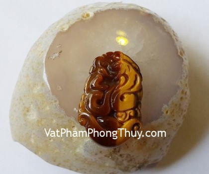 s6286-6-12-giap-mat-meo-nho-2-ran