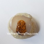 s6286-9-12-giap-mat-meo-nho-1-than (1)