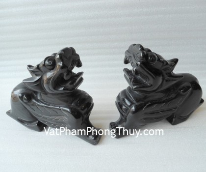 H011-Ty-huu-hac-nga-2