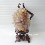 TX001-Chum-nho-ngoc-tuy-2