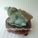 DL110-coc-phi-thuy-2