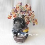 HCA254-Cay-phong-thuy-luan-2