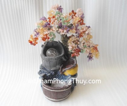 HCA254-Cay-phong-thuy-luan-2