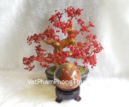 HM163-1732-01-qua-cau-do-hai-duong