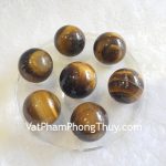 hm097-that-tinh-mat-meo-1