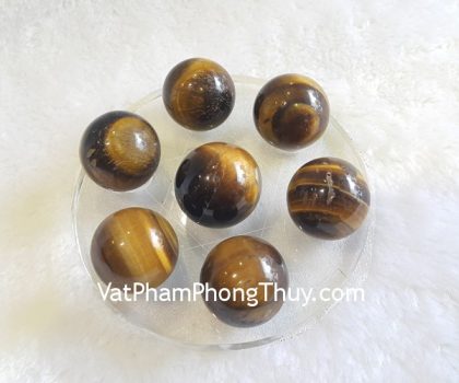 hm097-that-tinh-mat-meo-1